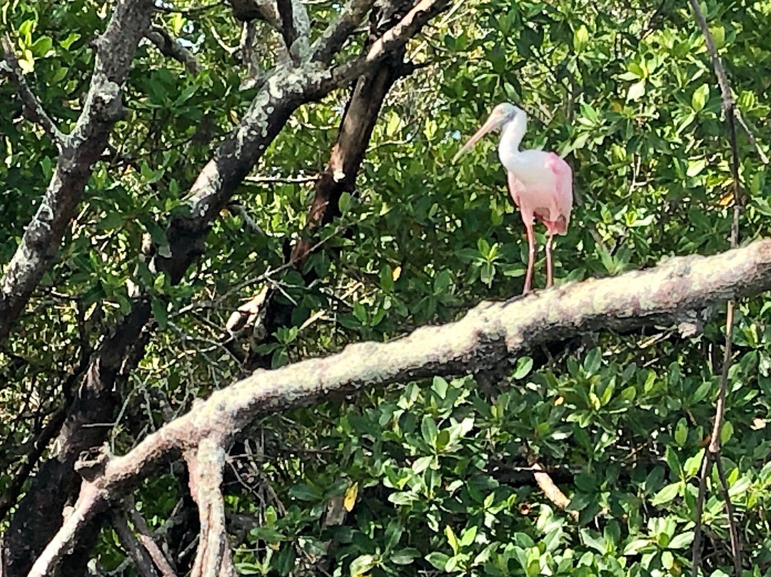 Finseeker Guided Adventures-那不勒斯必去景点