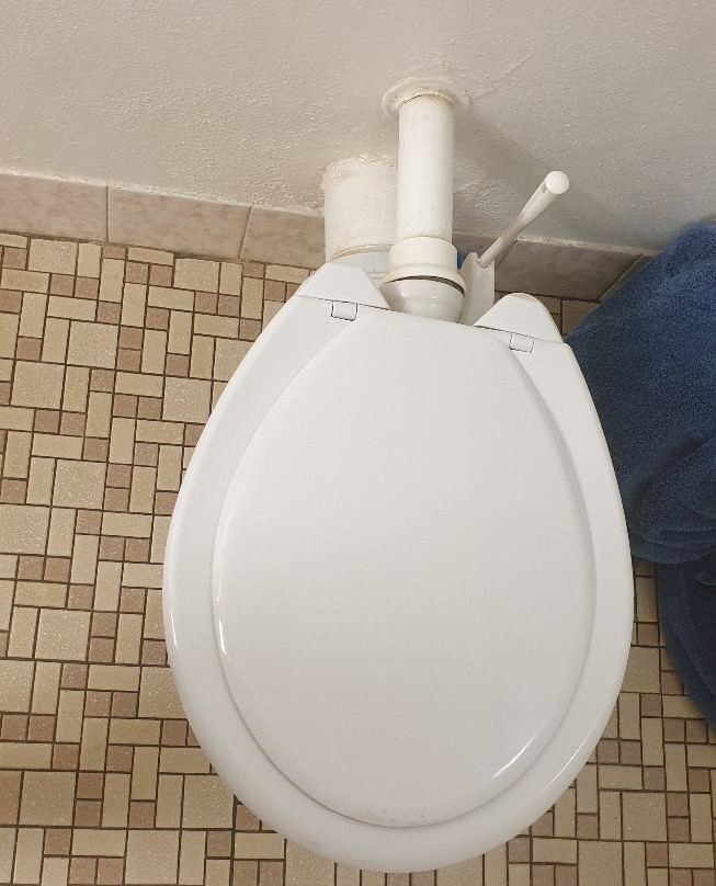 Fox Glenn Motor Inn主图