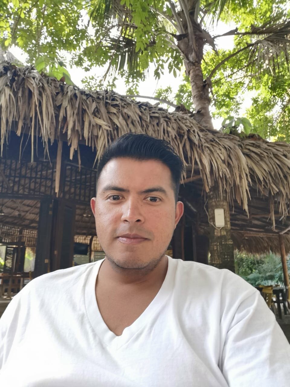 Viajero Hostel Tayrona & Ecohabs-餐饮
