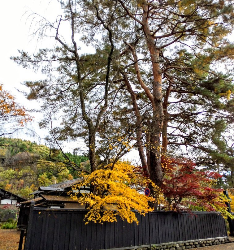 Samurai District-仙北市必去景点