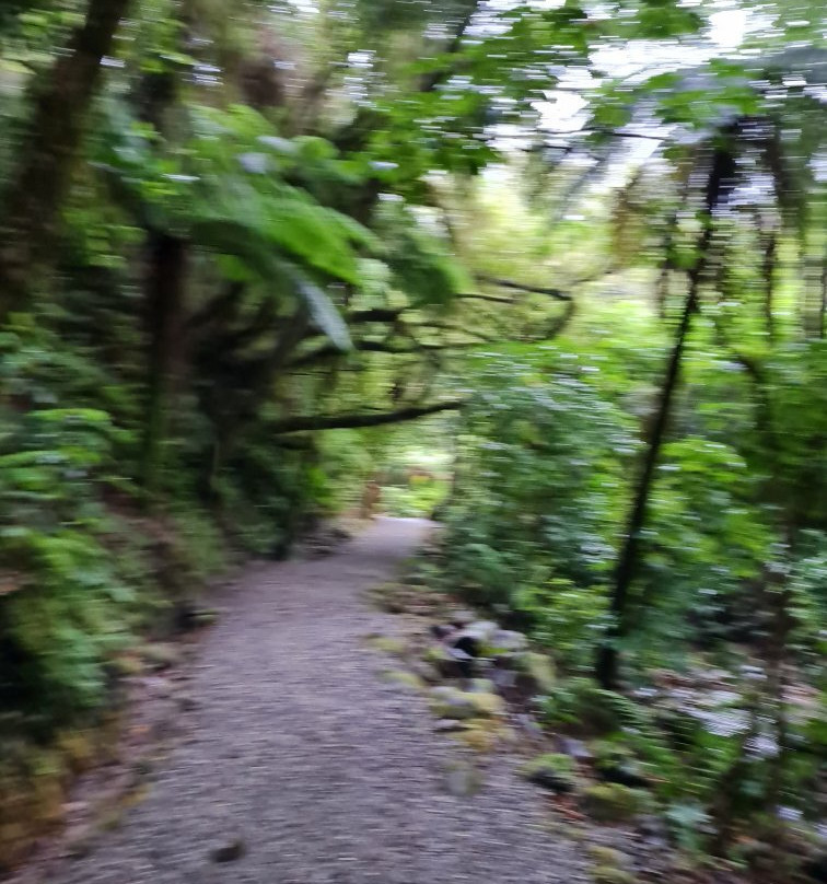 Ross Water Race Walkway景点图片