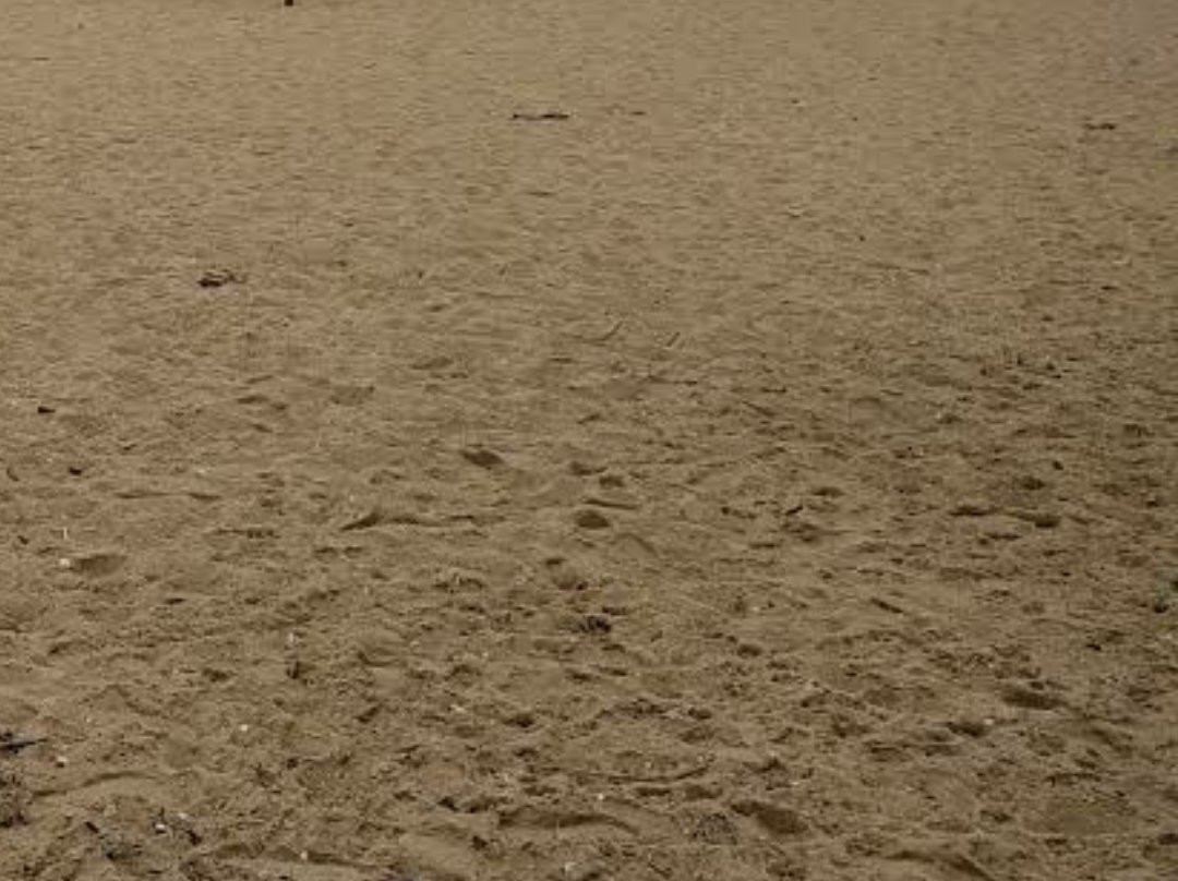 Praia Do Seixal-Seixal必去景点