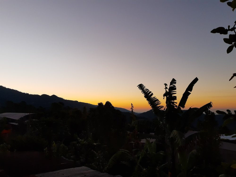 Posada Margaritas主图