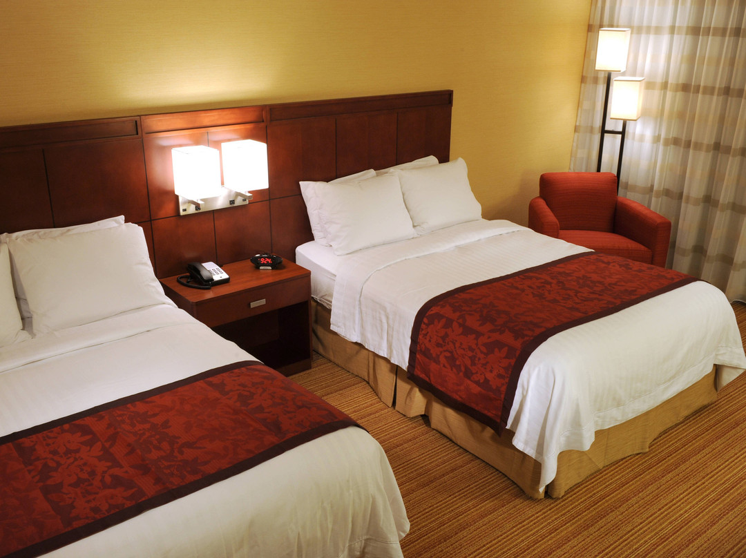 纽堡斯图尔特机场万怡酒店主图