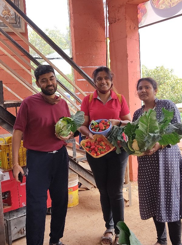 Muskan Organic Strawberry Garden-马哈巴勒什瓦必去景点