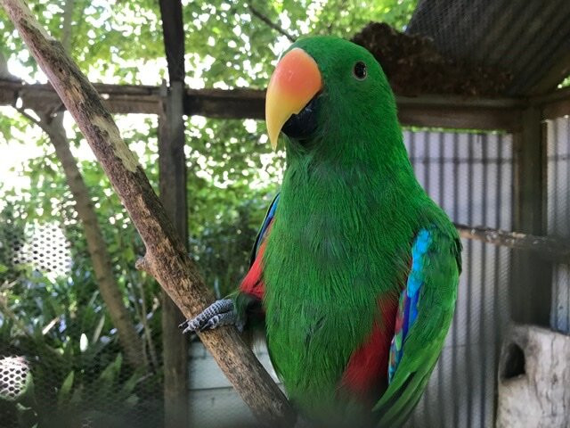 Birdland Animal Park景点图片