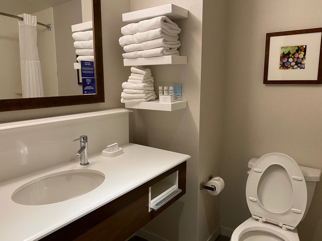 Hampton Inn & Suites Braselton主图