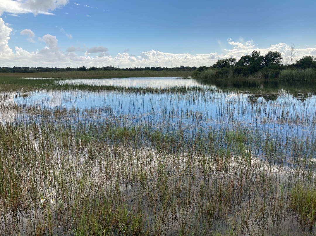 Chapel Trail Park Nature Preserve-彭布罗克派恩斯必去景点