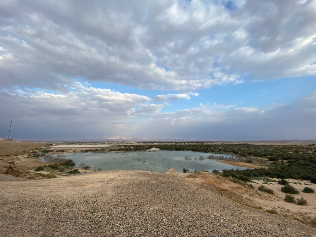 Desert Ride-Ein Yahav必去景点