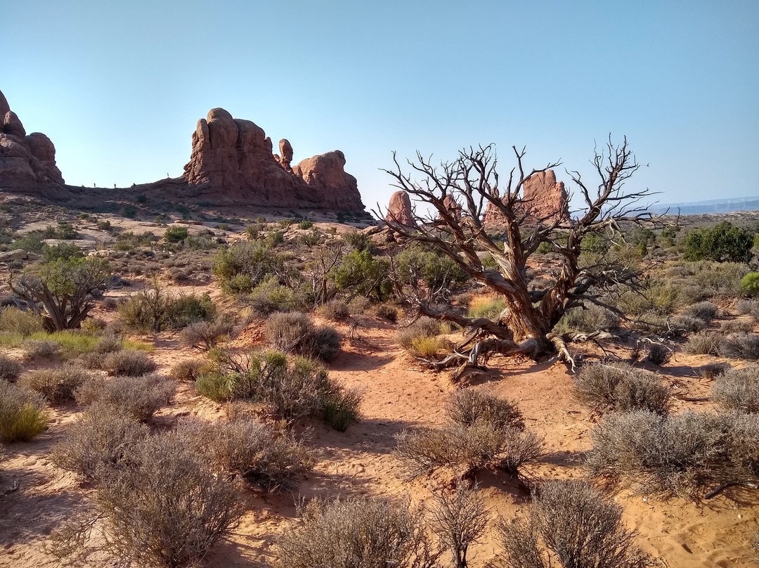 Turret Arch-拱门国家公园必去景点