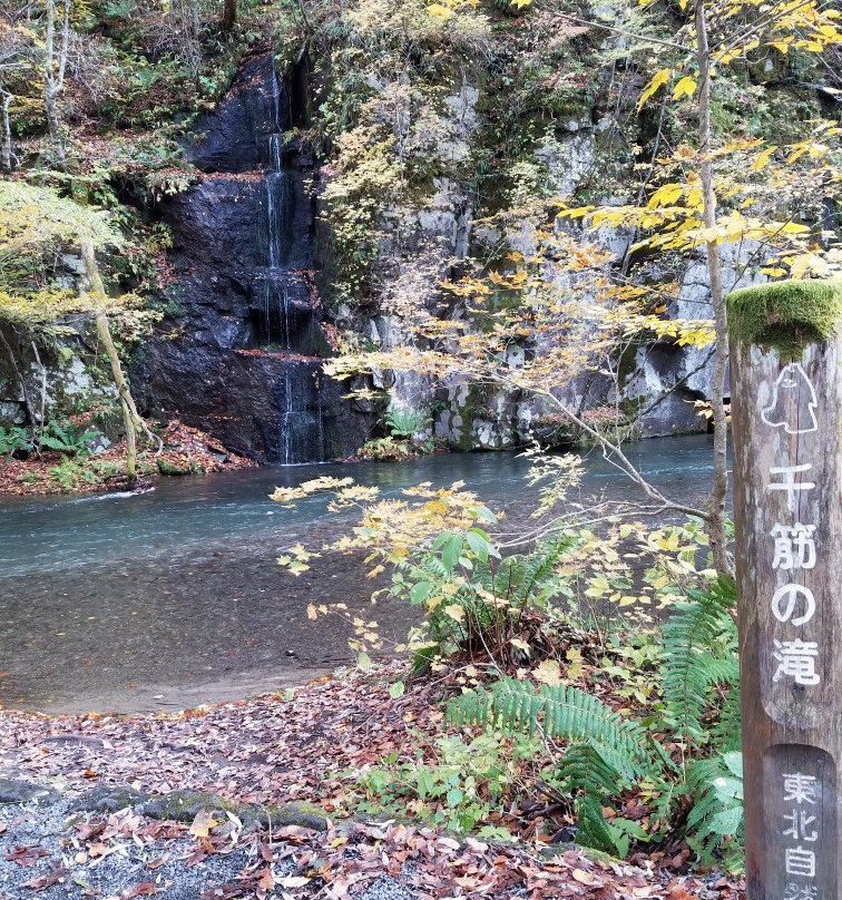 Sensuji no Taki-十和田市必去景点