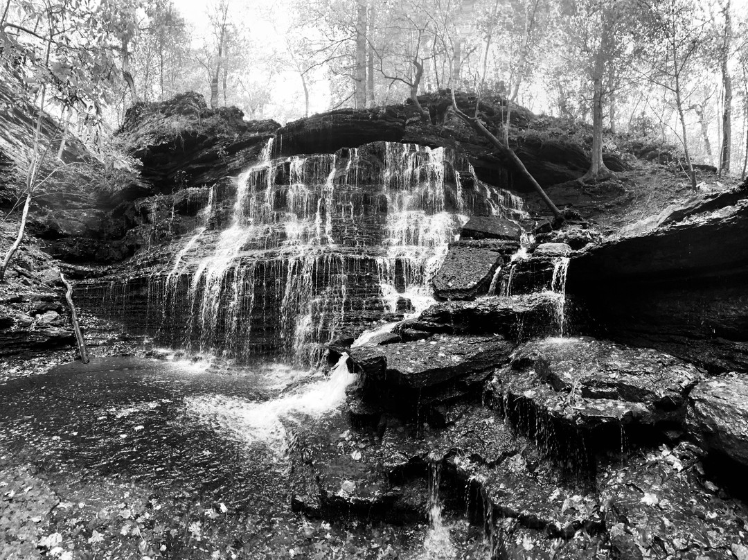 Short Springs Natural Area景点图片