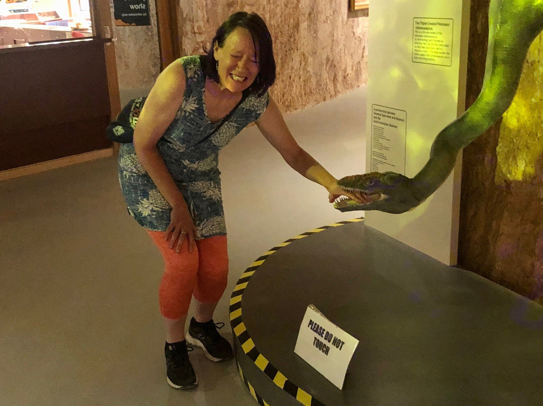 Umoona Opal Mine & Museum-库伯佩迪必去景点