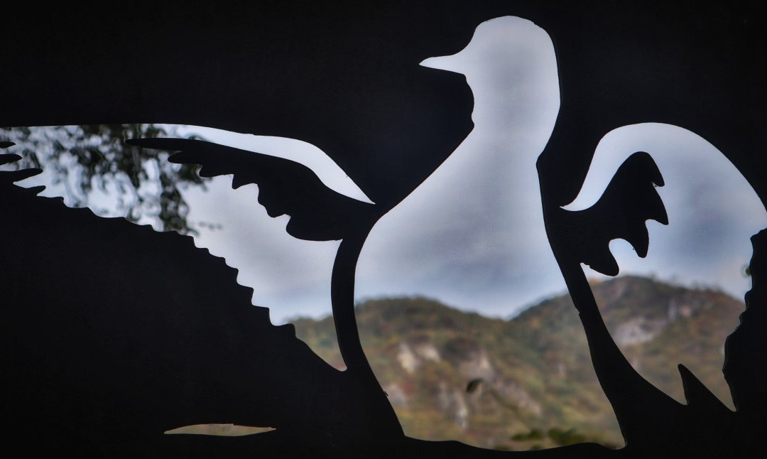 Biotopo Lago di Pudro-Pergine Valsugana必去景点