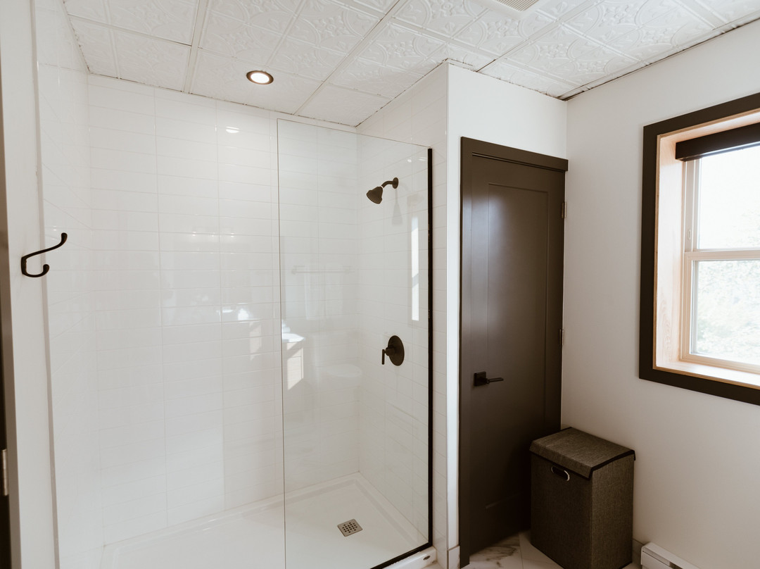 The Flying Steamshovel主图