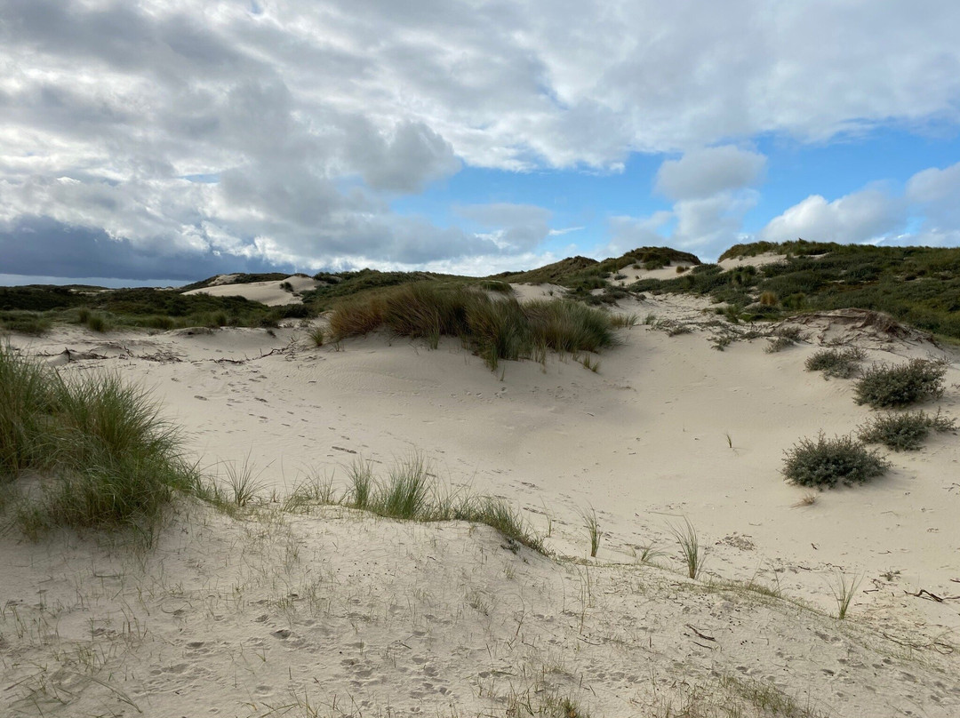 Duinreservaat Meijendel-Kievietsduin-Wassenaar必去景点