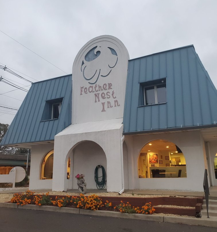 Feather Nest Inn主图