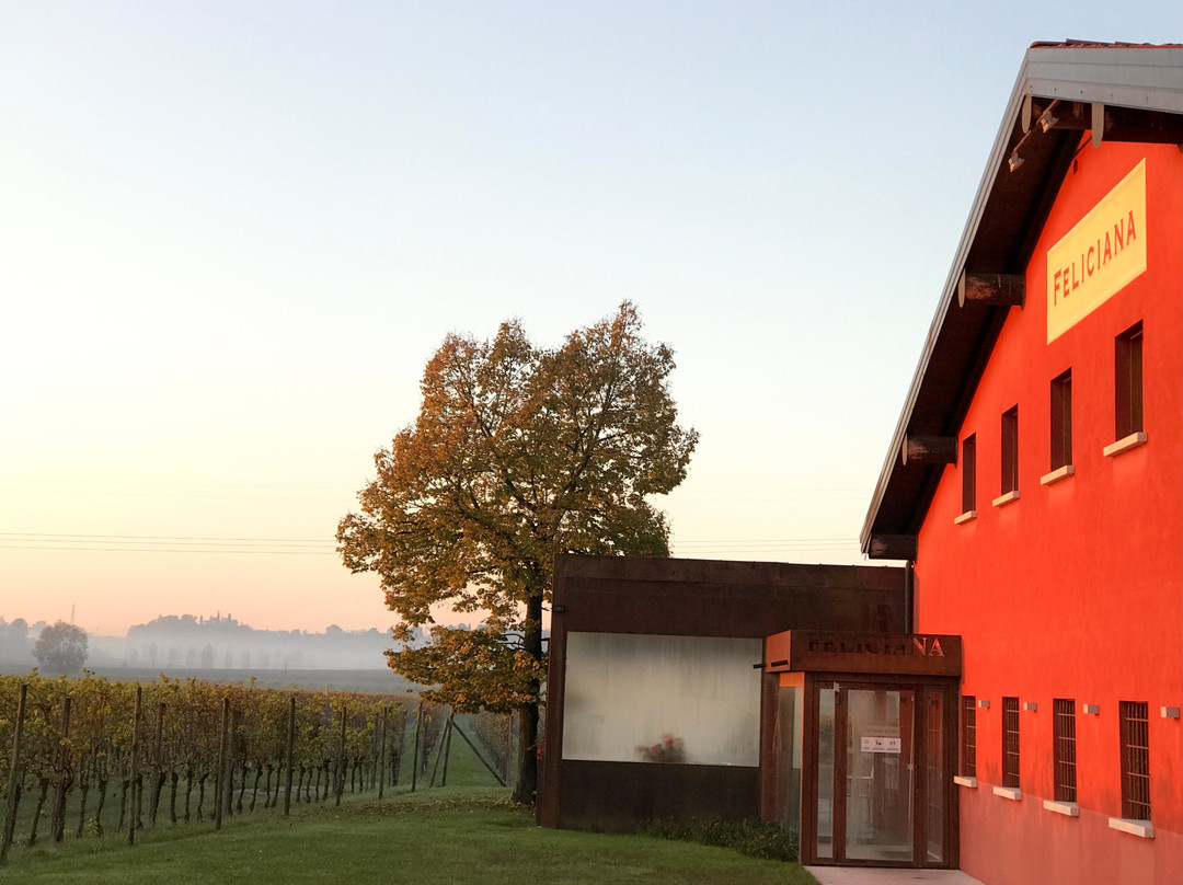 Agriturismo Feliciana主图