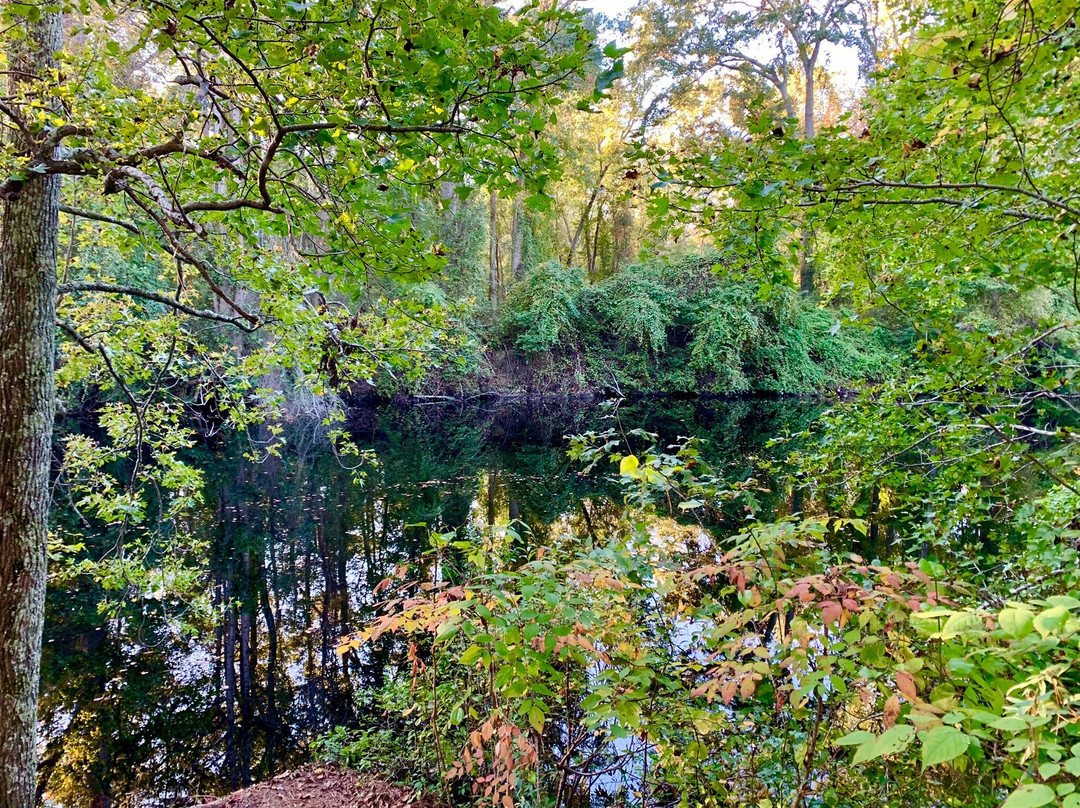 Dismal Swamp Canal Trail景点图片