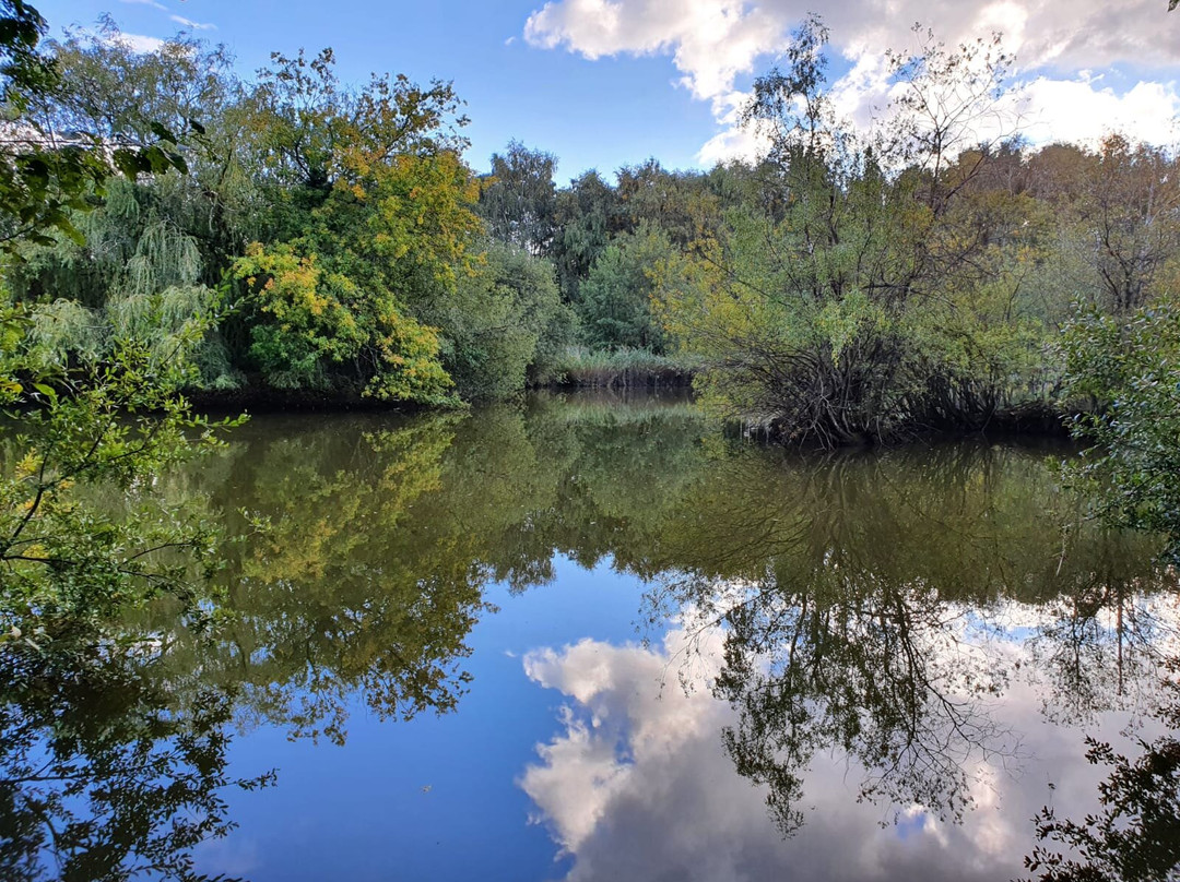 Basingstoke Canal景点图片