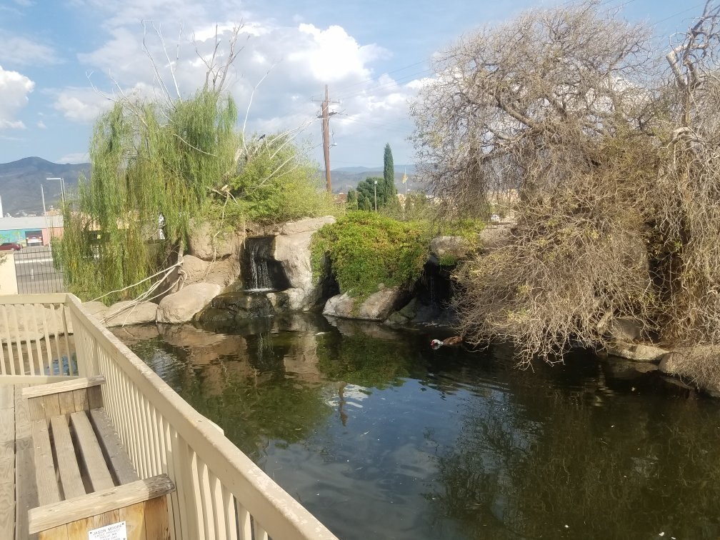 Alameda Park Zoo-阿拉莫戈多必去景点