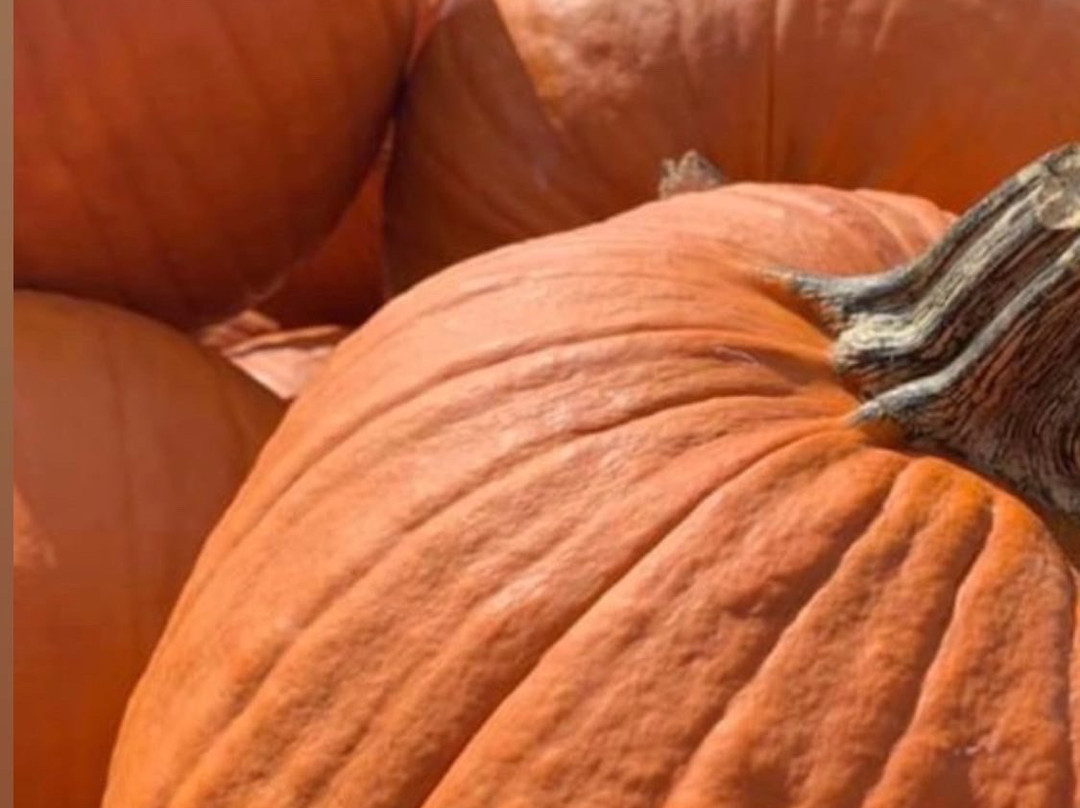 R & A Orchards-Ellijay必去景点