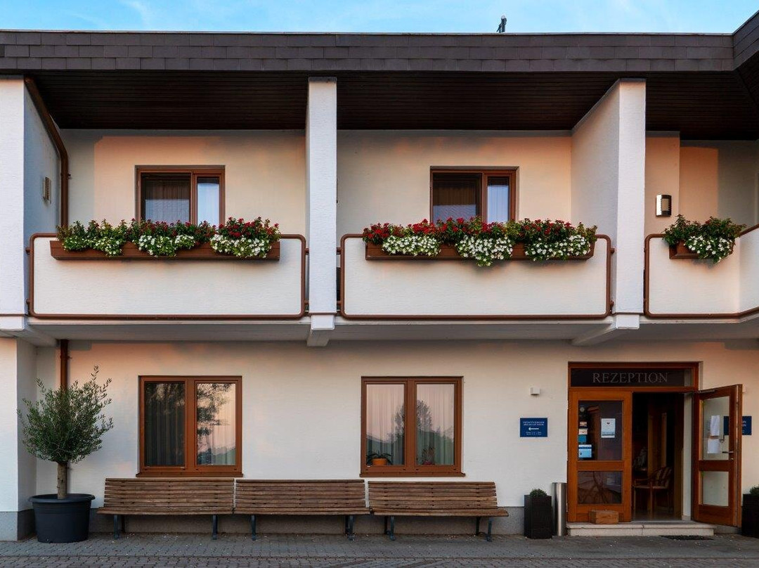 Weingut & Gästehaus zum Seeblick主图