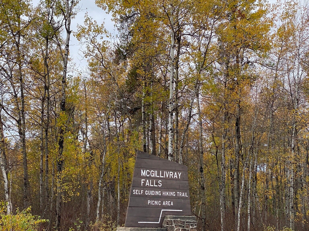 McGillivray Falls Self-guiding Trail景点图片