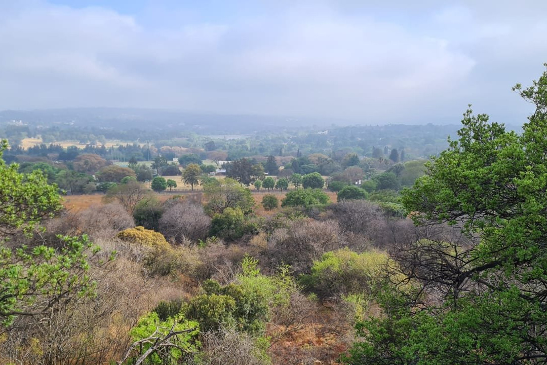 Melville Koppies Nature Reserve景点图片
