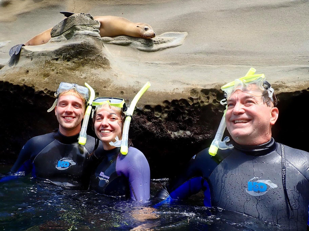 SCUBA SOCAL ADVENTURES-拉荷亚必去景点