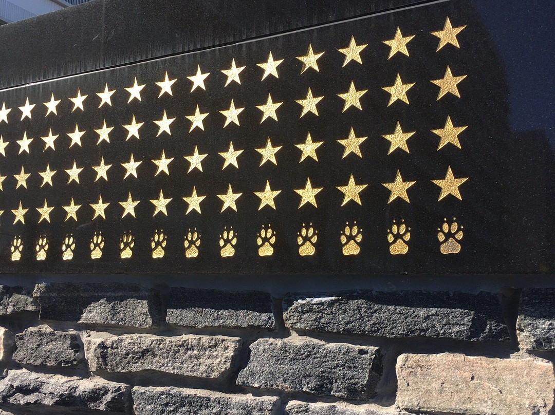 Navy Seal Monument-弗吉尼亚海滩必去景点