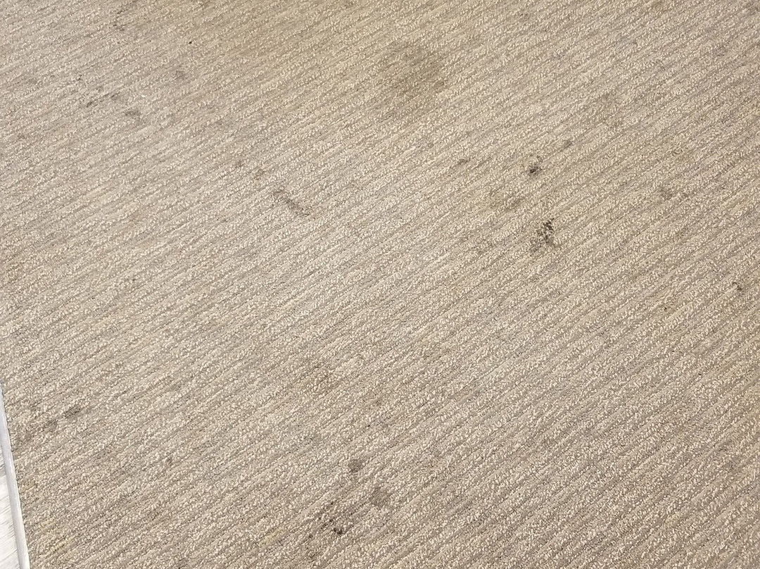 Days Inn by Wyndham Pierre主图