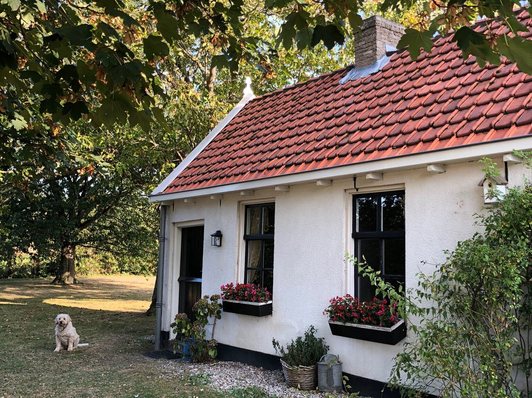 Logeren bij KA主图