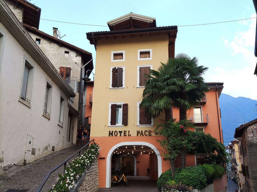 Pace 1954 Hotel主图