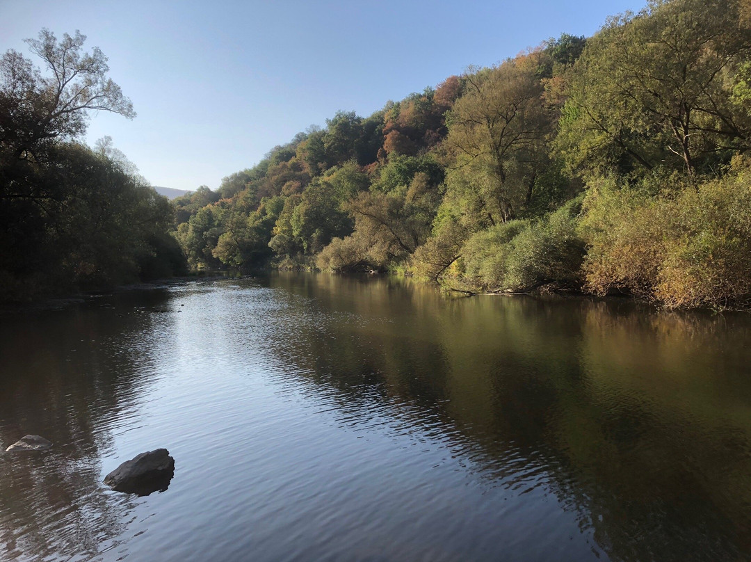 Landhotel Niederthaeler Hof主图