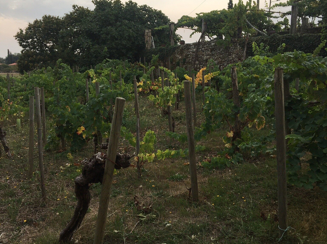 Adega Malcavada-Sober必去景点