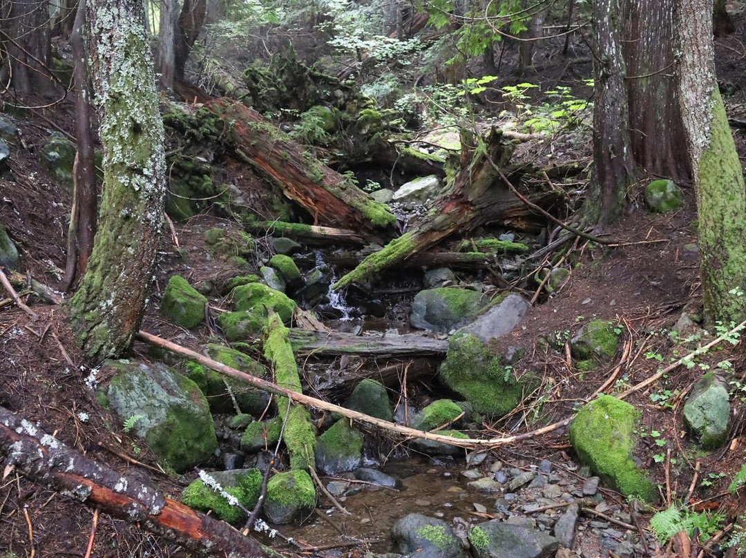 Mirror Lake Trail-胡德里弗必去景点