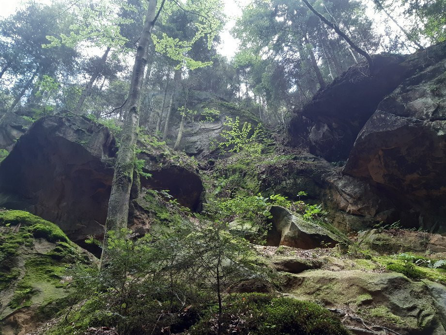 Witch Gorge/Wawoz Czarownic景点图片