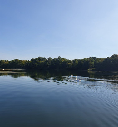 Unterbacher See-杜塞尔多夫必去景点