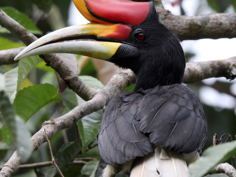 Kawag Nature Lodge主图