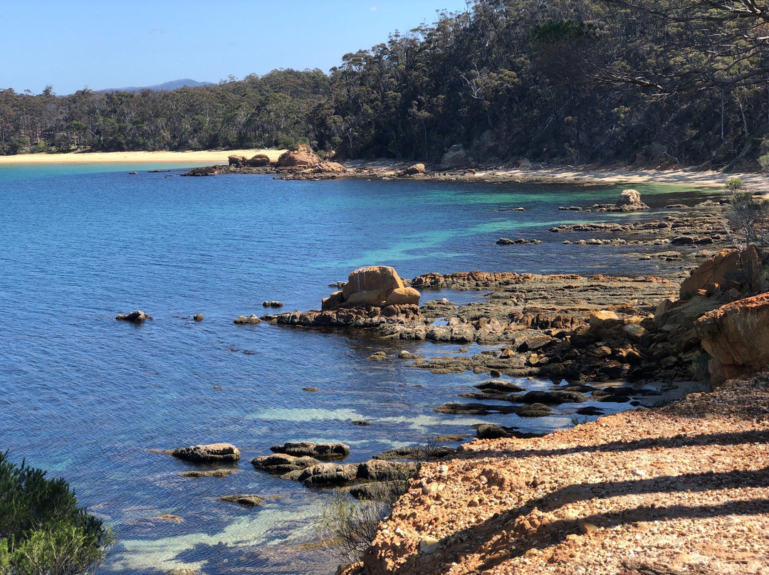Bundian Way Story Trail-伊登港必去景点