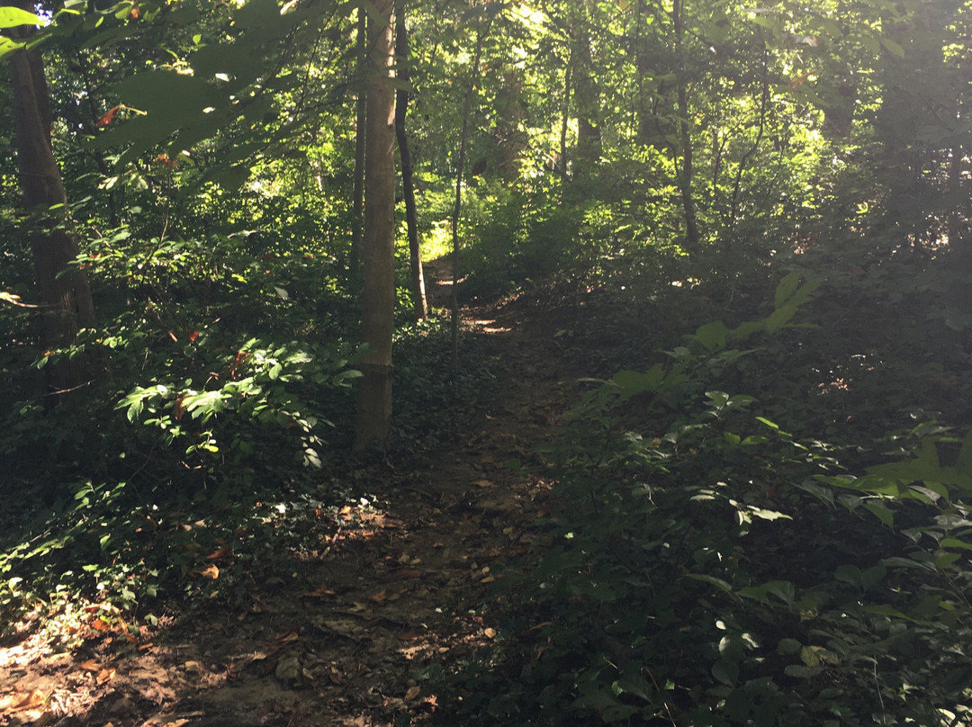 Sligo Creek Park景点图片