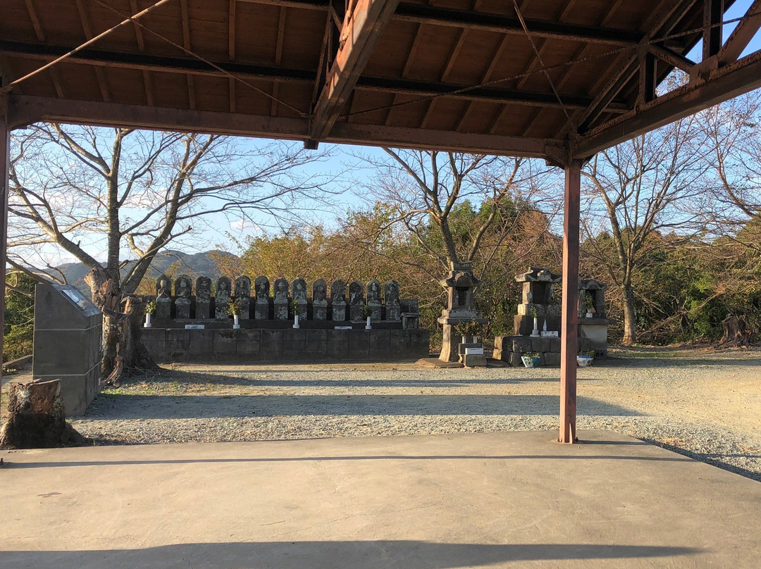 Yame Chuo Tea Garden-八女市必去景点