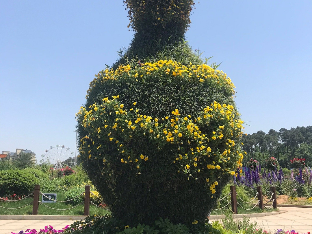 湖南森林植物园-长沙市必去景点