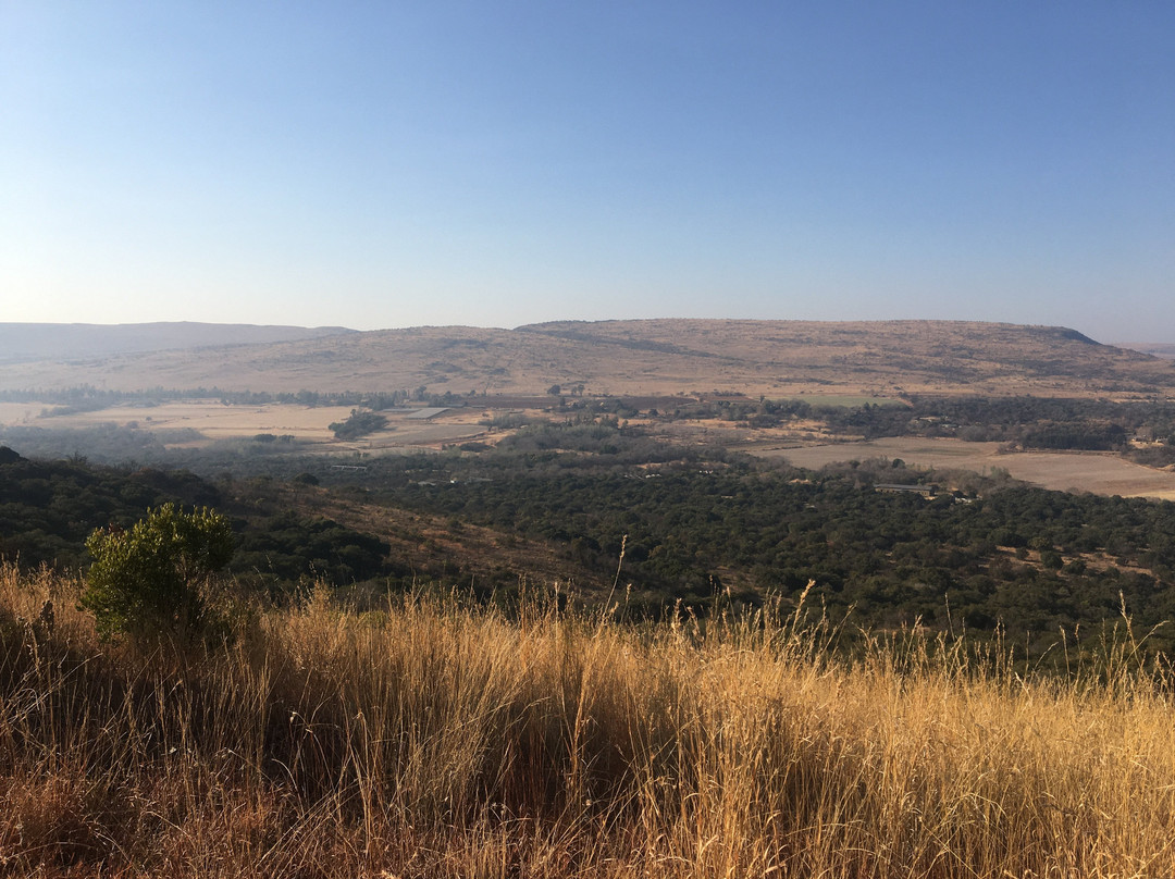 Olive Tree Farm主图