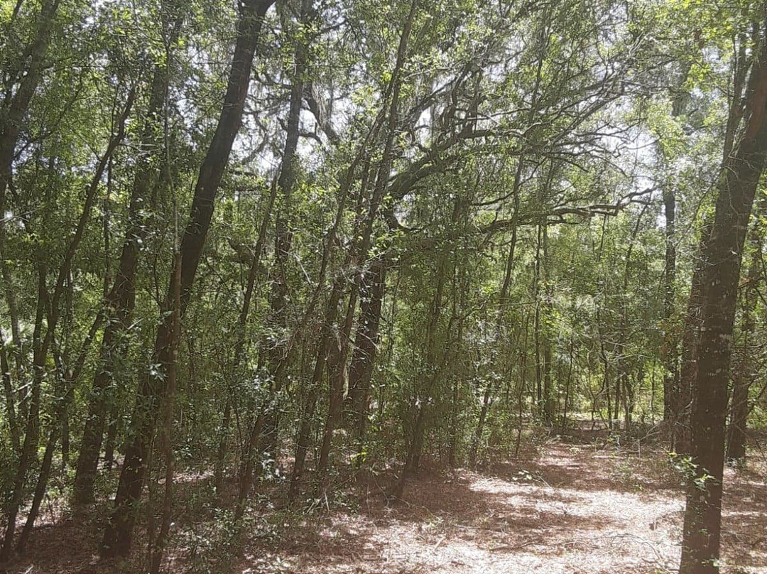 Skunkie Acres, Inc'-Citra必去景点