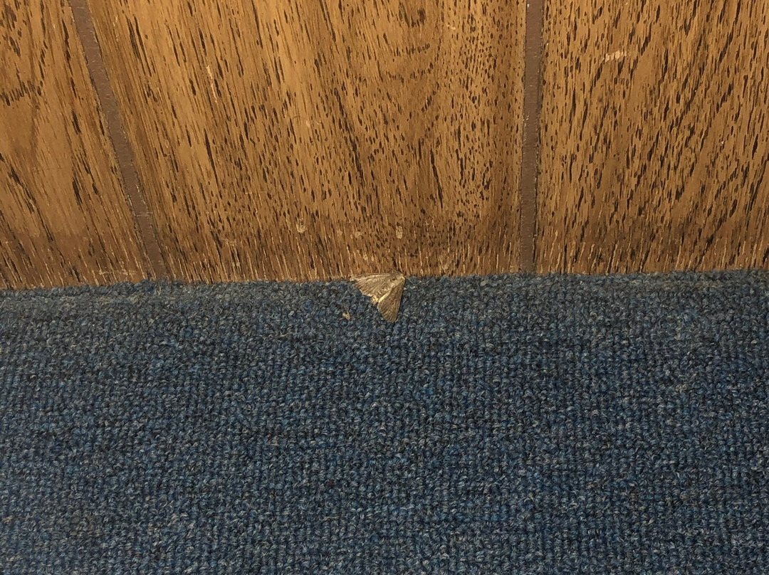 Tal-WI-WI Lodge主图