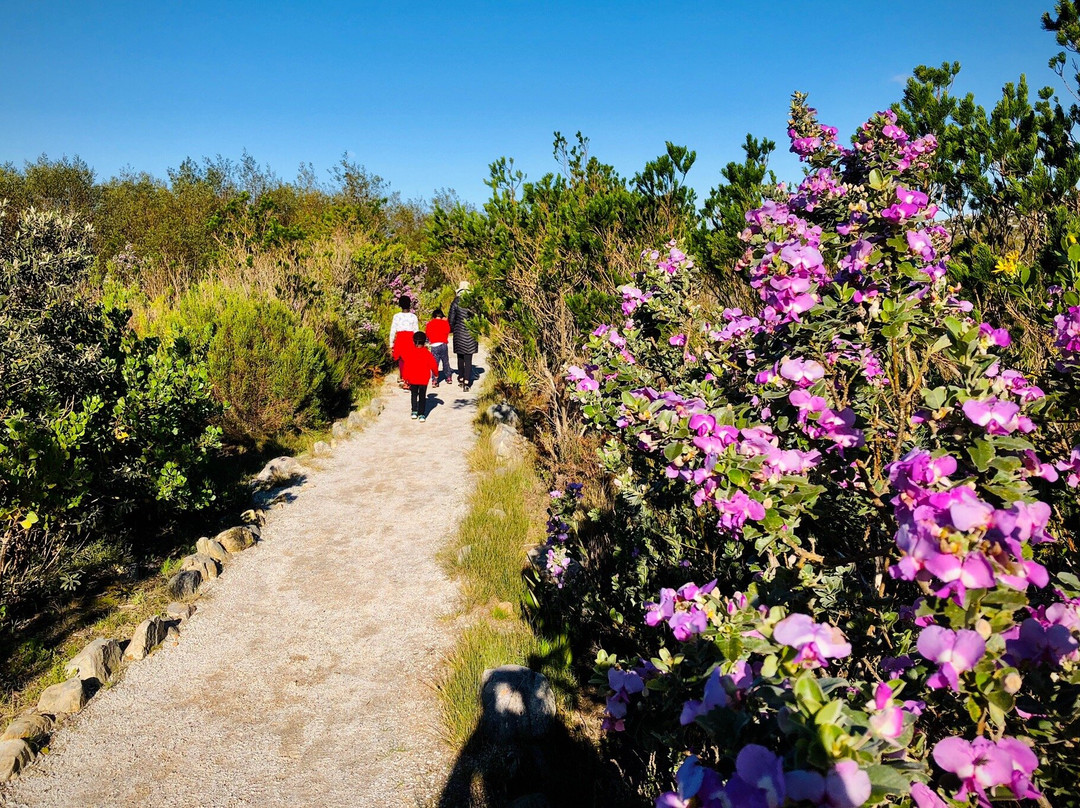Silvermine Nature Reserve-开普敦中心区必去景点