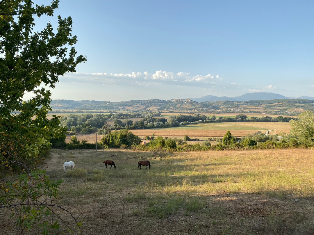 Agriturismo Monterone主图