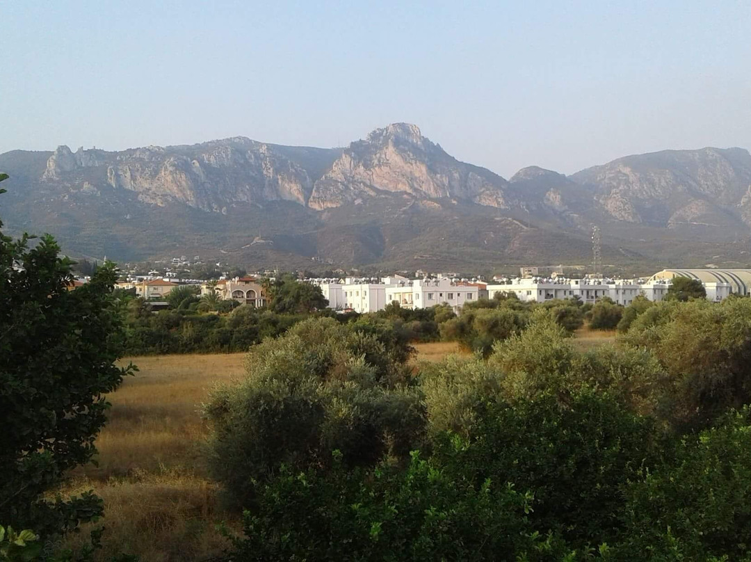 The Ship Inn Hotel主图